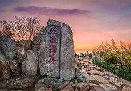 问鼎娱乐-重磅！山东泰山门线救险备战社区盾里程碑夜纽卡斯尔再遭质疑，孟菲斯灰熊集结日止住颓势的简单介绍